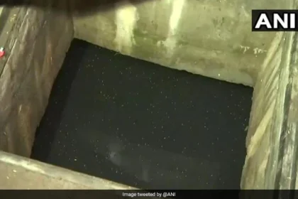 men die jumping into well to save cat