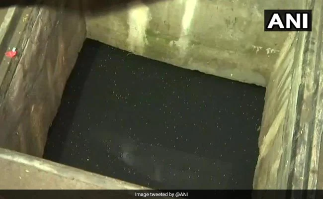 men die jumping into well to save cat